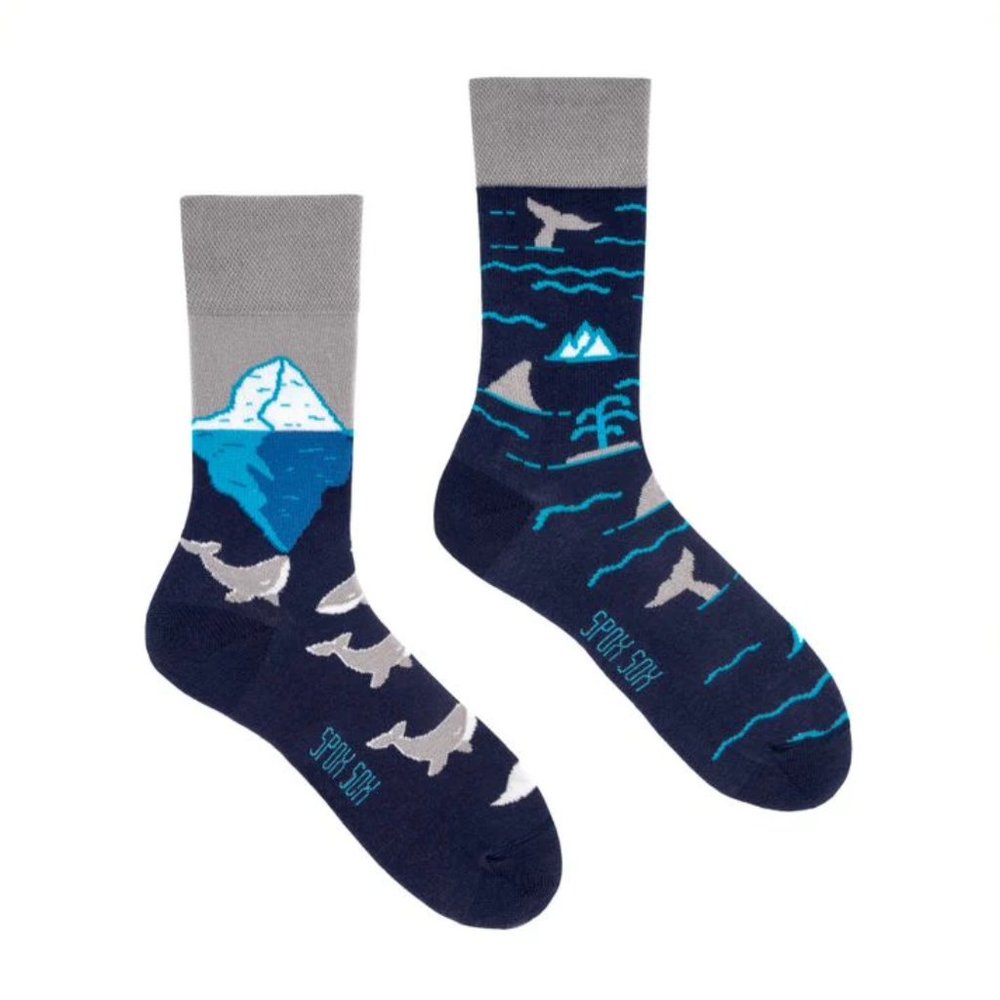 Whale Watching Mix Matched Socks